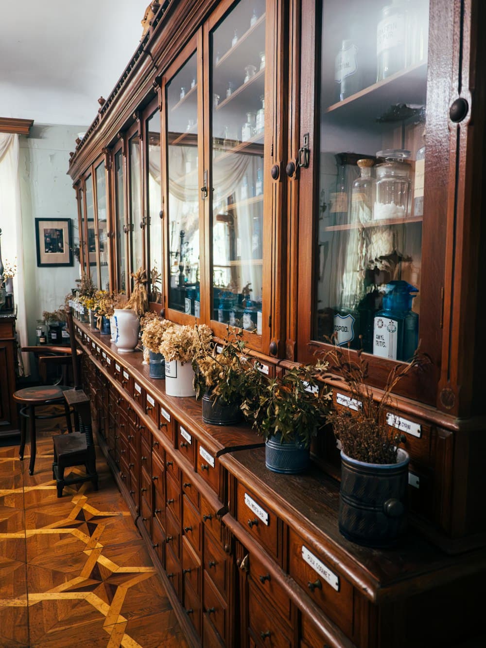 Bancone di farmacia storica con erbe officinali essiccate